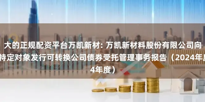 大的正规配资平台万凯新材: 万凯新材料股份有限公司向不特定对象发行可转换公司债券受托管理事务报告（2024年度）