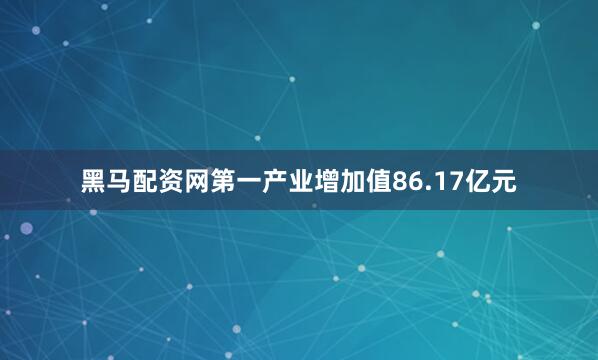 黑马配资网第一产业增加值86.17亿元