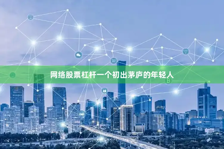 网络股票杠杆一个初出茅庐的年轻人