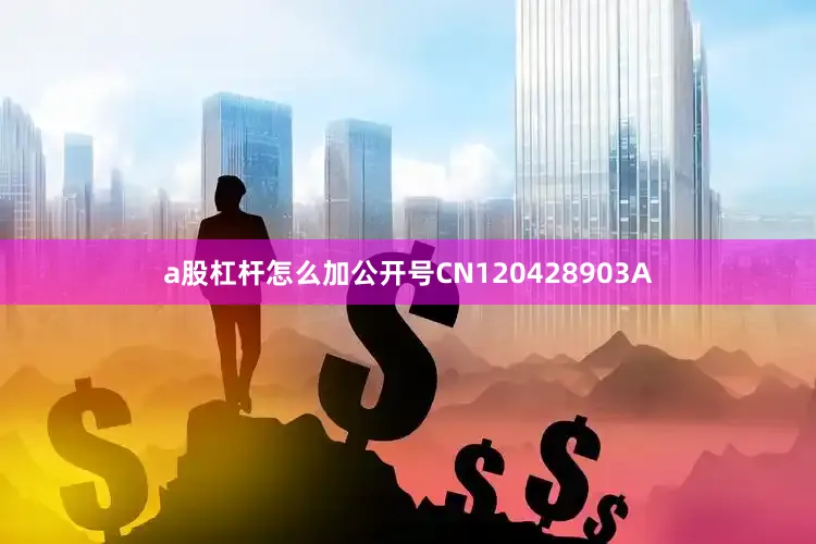 a股杠杆怎么加公开号CN120428903A