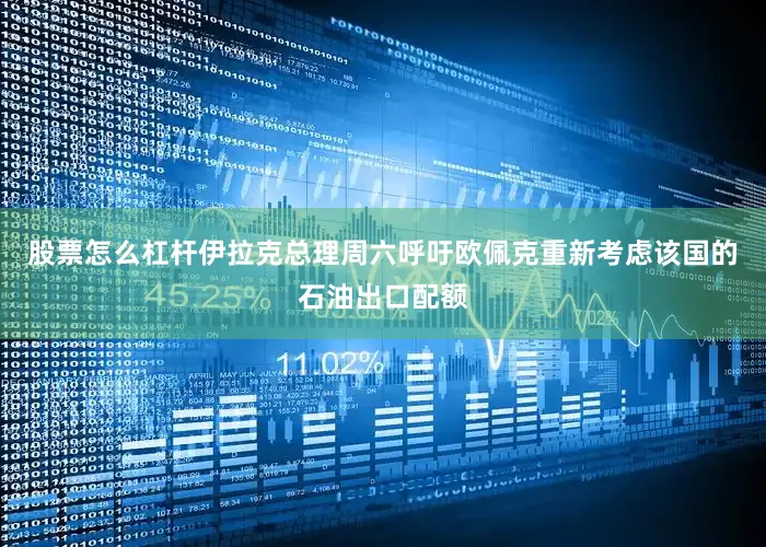 股票怎么杠杆伊拉克总理周六呼吁欧佩克重新考虑该国的石油出口配额